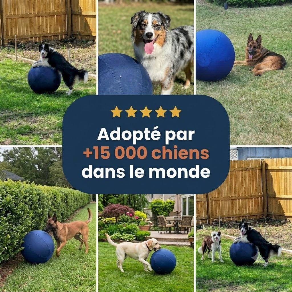 Balle de Troupeau - VELORIA™