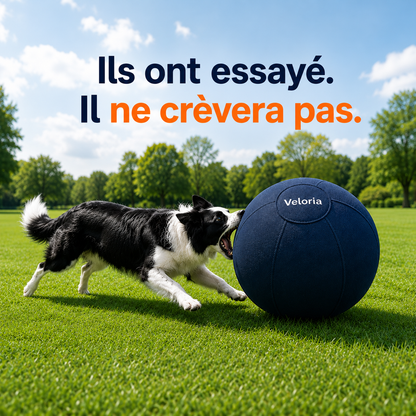Balle de Troupeau - VELORIA™