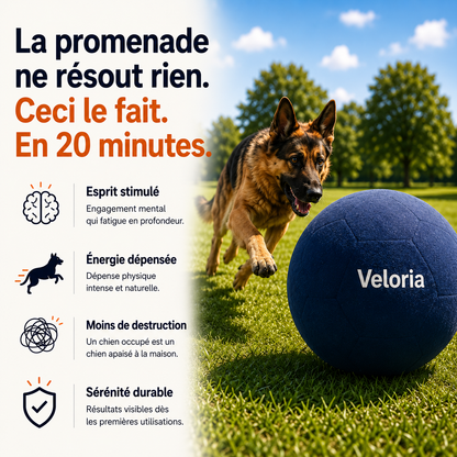 Balle de Troupeau - VELORIA™