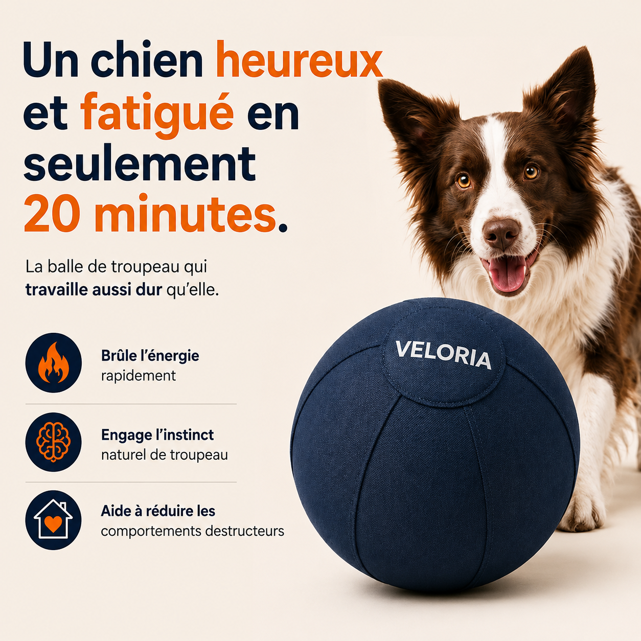 Balle de Troupeau - VELORIA™